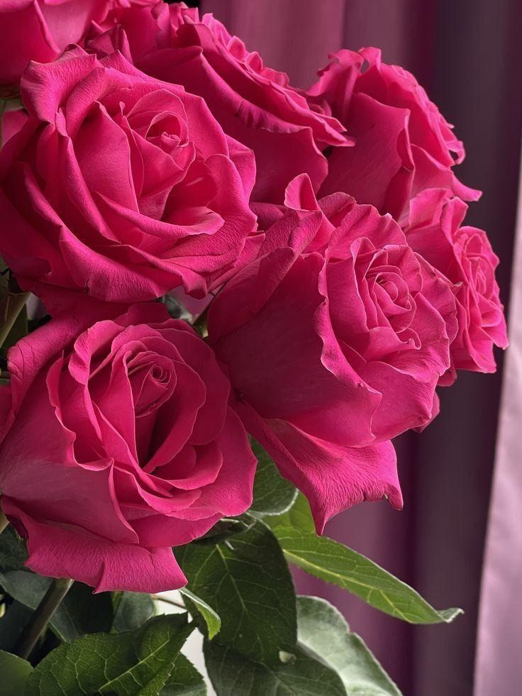Sunset Serenade: Evening Glow Floral Symphony